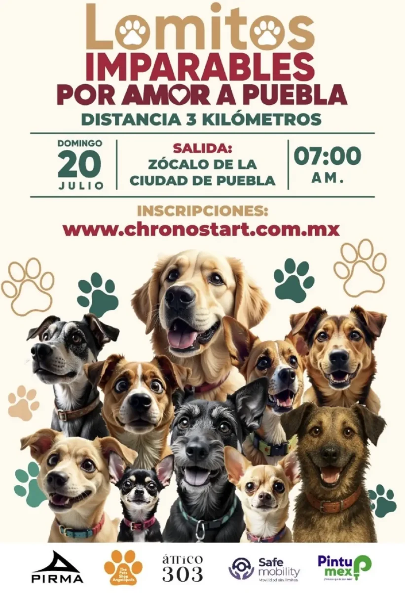 Carrera Lomitos Imparables Puebla