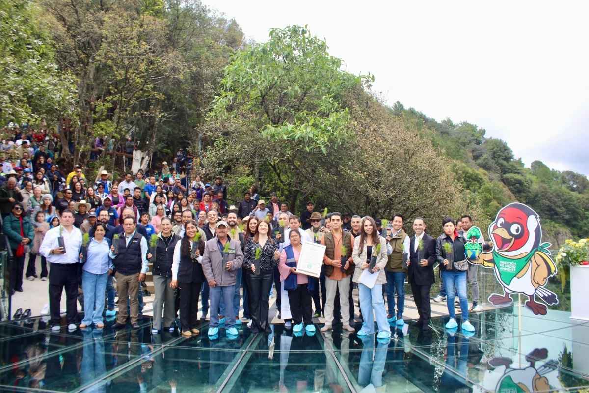 inicia reforestación 2025 y se entregó certificación de Punto Verde a las “Brizas” 1