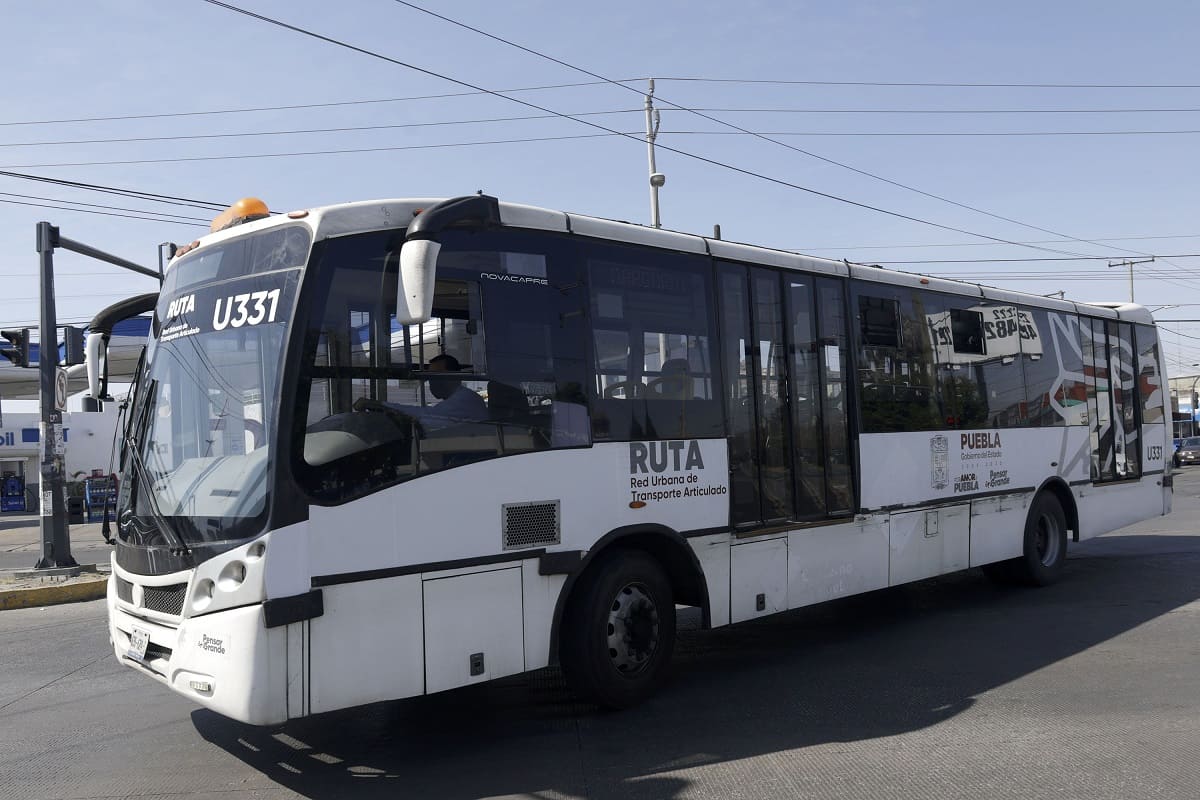 Las cuatro líneas de RUTA tendrán internet en sus unidades 4 internet en lineas de RUTA 2 1