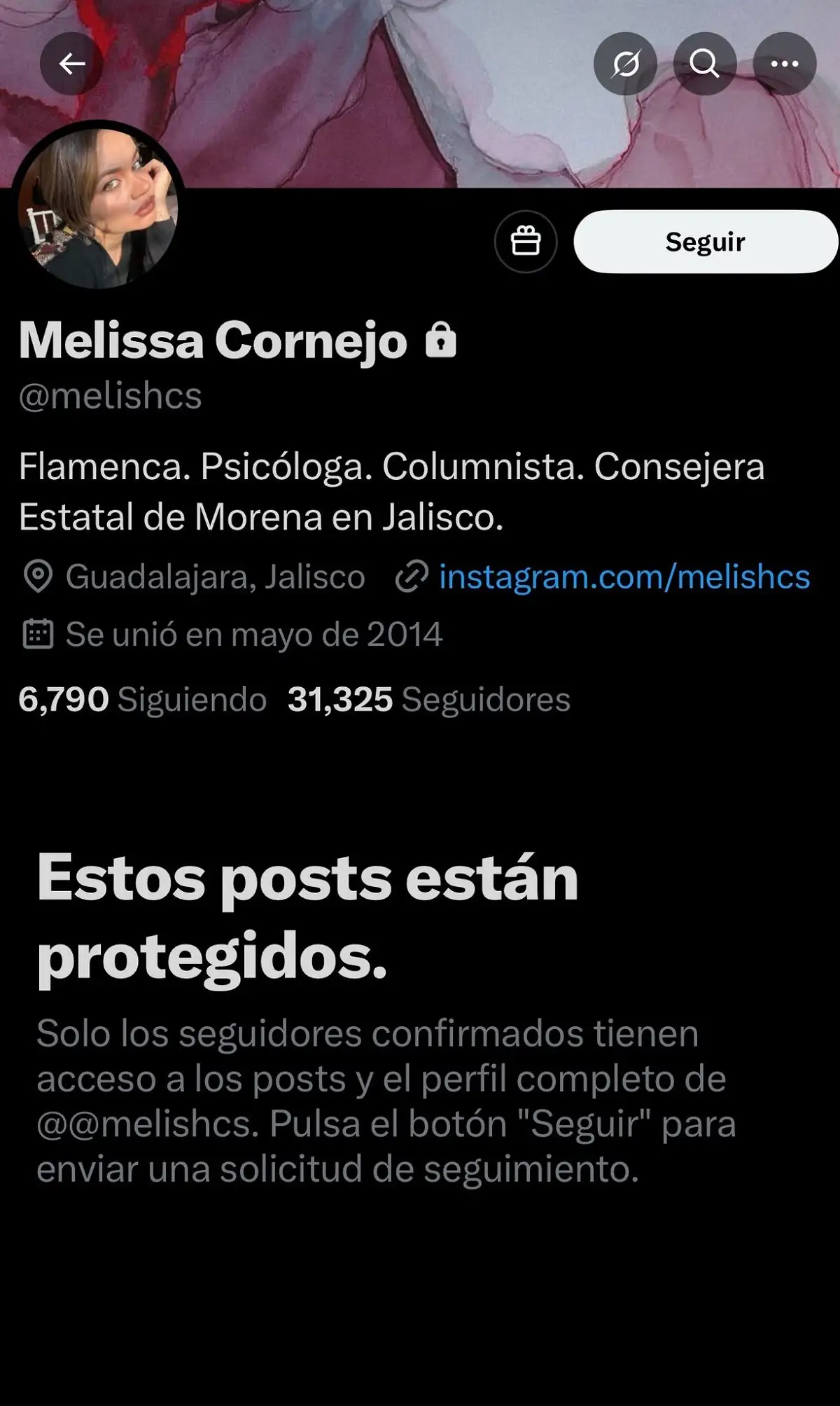 ¿Por qué ordena anular visa de Melissa Cornejo, de Morena?