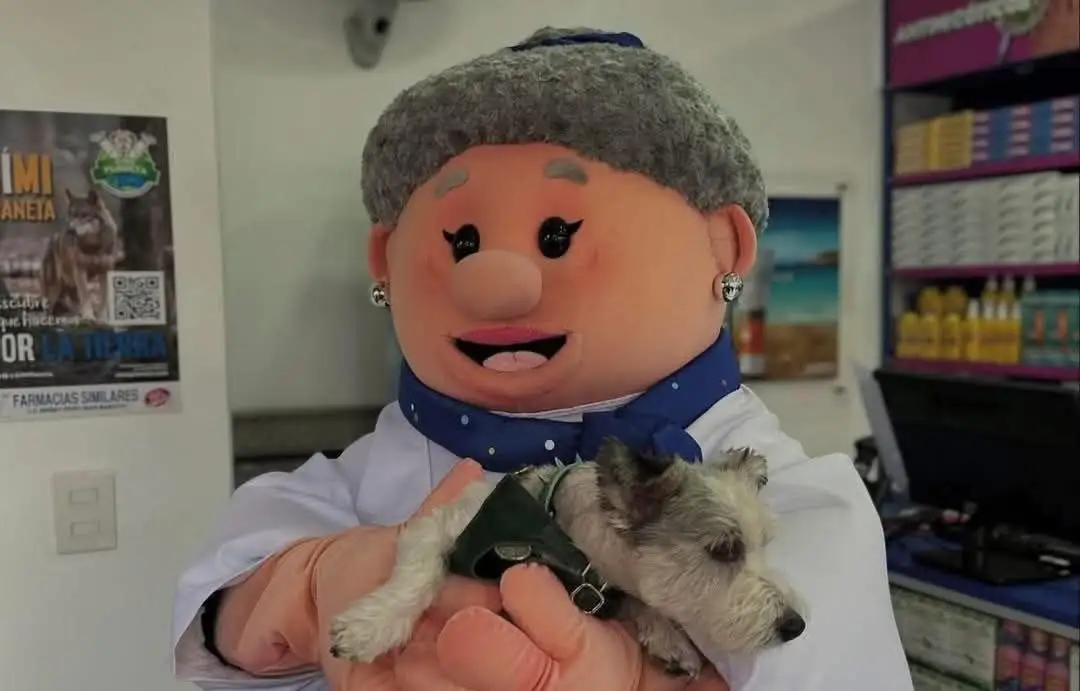 SimiPet Care da consulta gratis a perritos rescatados de la calle 2 SimiPet Care da consulta gratis a perros rescatados de la calle