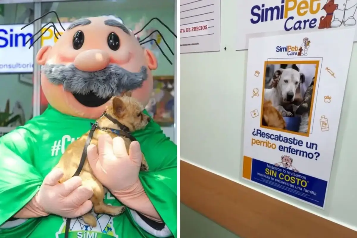 SimiPet Care da consulta gratis a perritos rescatados de la calle 1 SimiPet Care da consulta gratis a perros rescatados de la calle