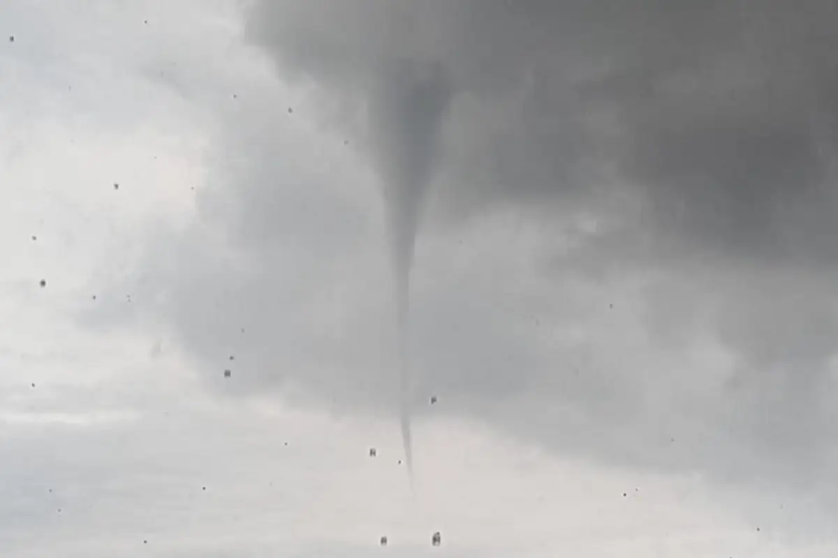 VIDEO: Aparece "Culebra de Agua” en Flor del Bosque 1 Aparece Culebra de Agua en Flor del Bosque