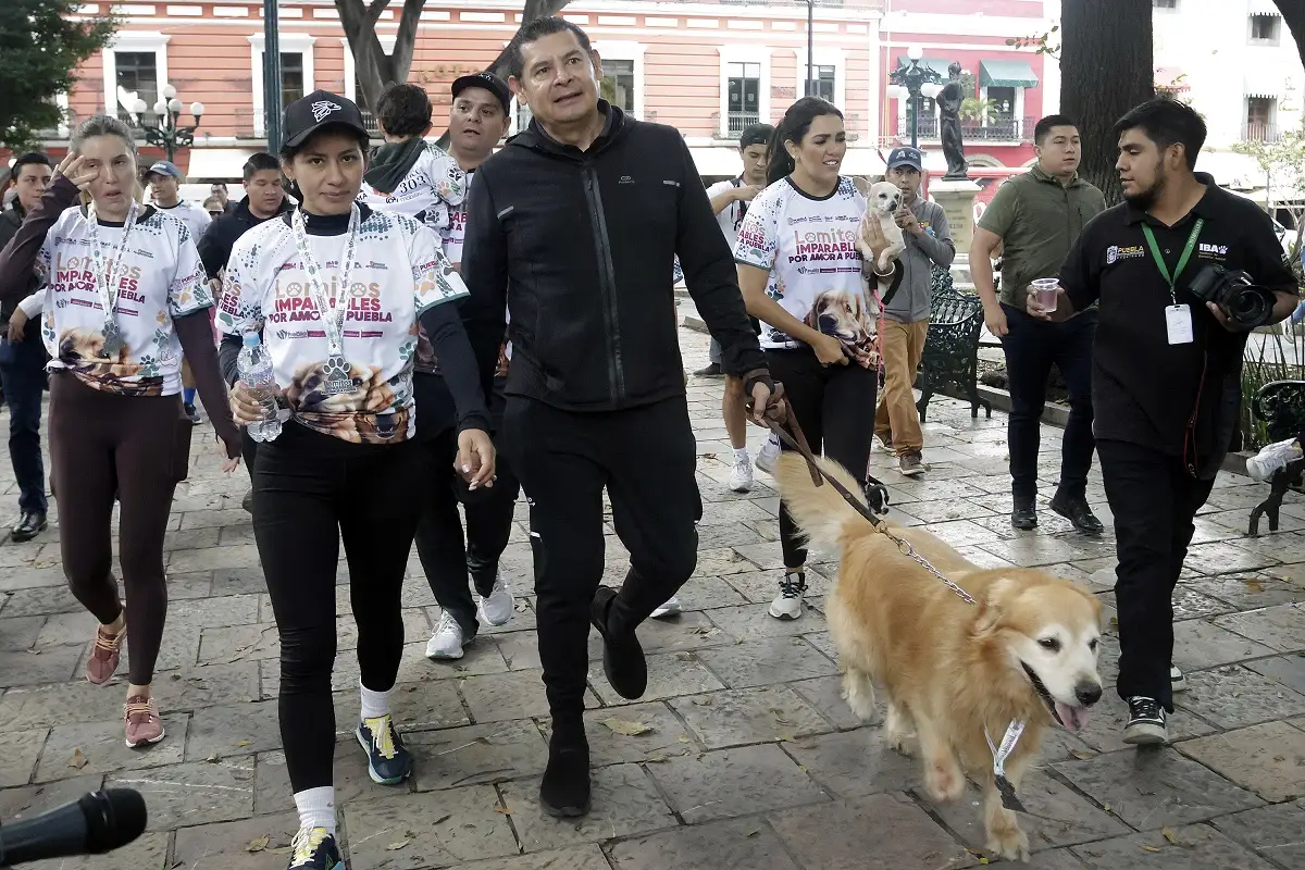 Armenta pide no regalar perritos como juguetes y llama a la adopción responsable