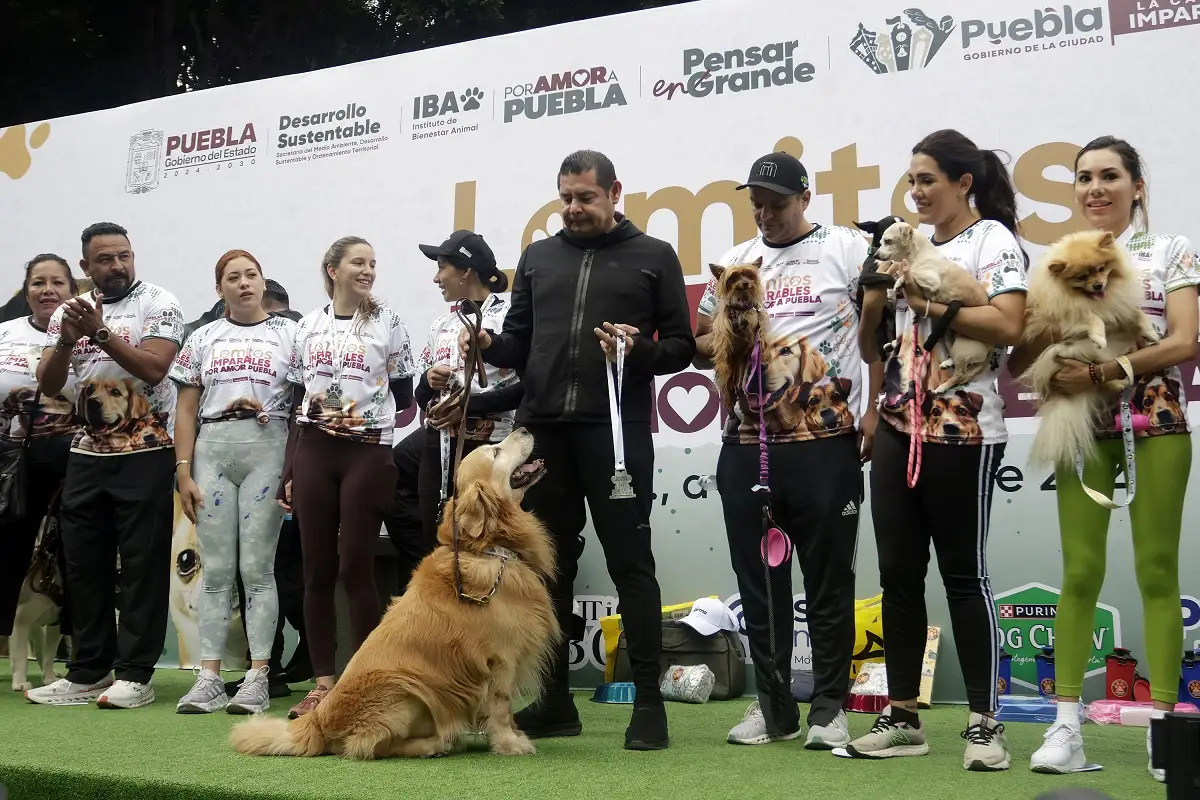 Armenta pide no regalar perritos como juguetes y llama a la adopción responsable 1 Armenta pide no regalar perritos como juguetes y llama a la adopción responsable