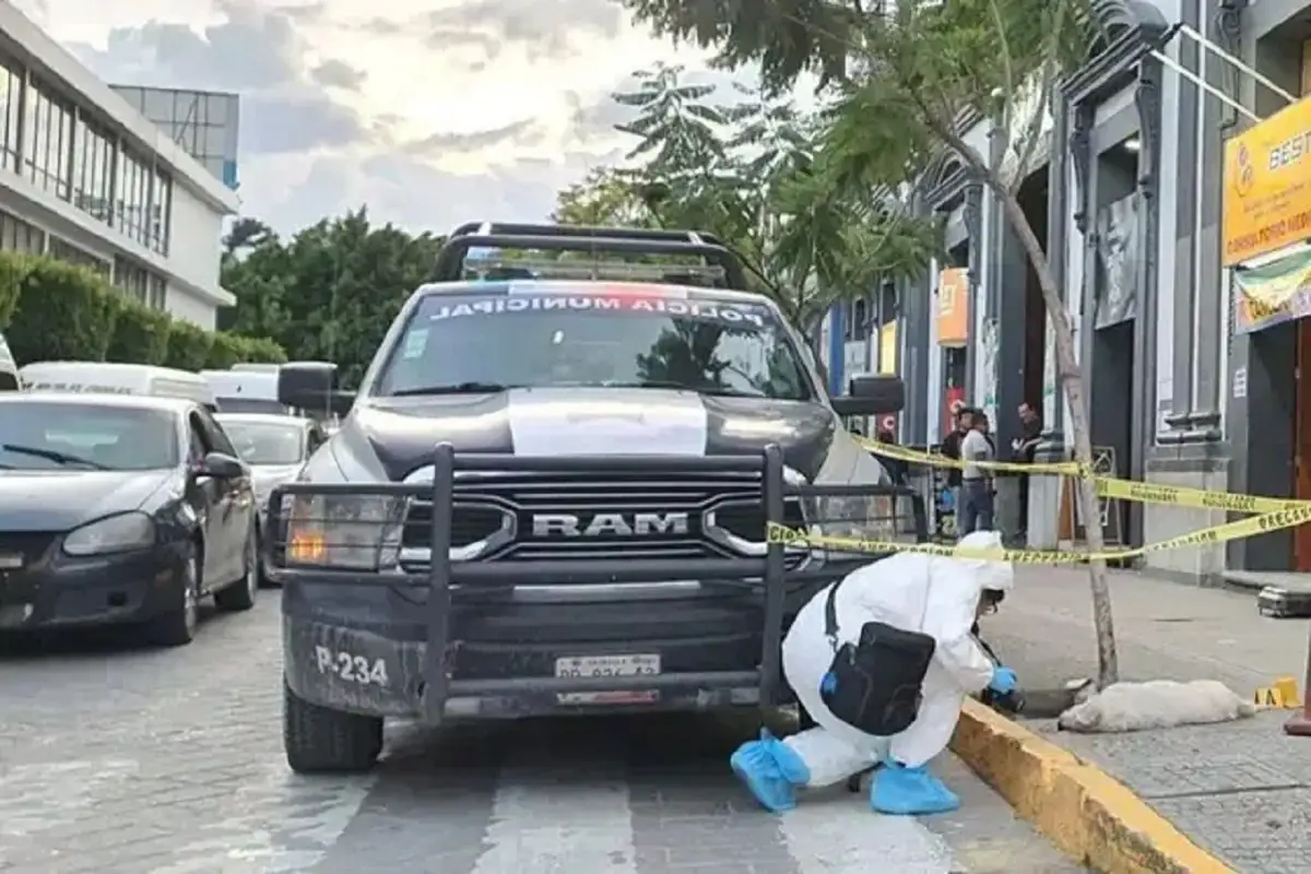 Atropellan a un perro en Tehuacán y el MP levanta el cadáver 1 Atropellan a un perro en Tehuacán y MP levanta el cadáver
