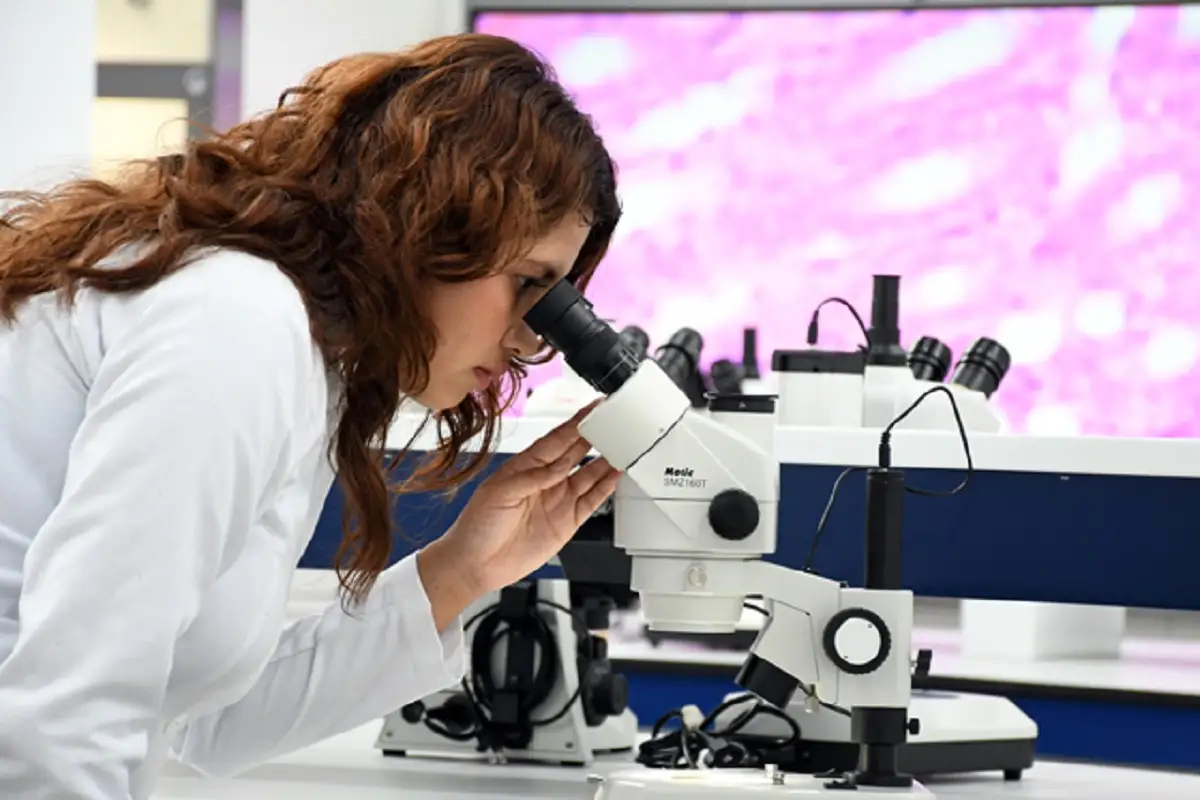 CU2: referente en innovación científica y formación de alta especialidad