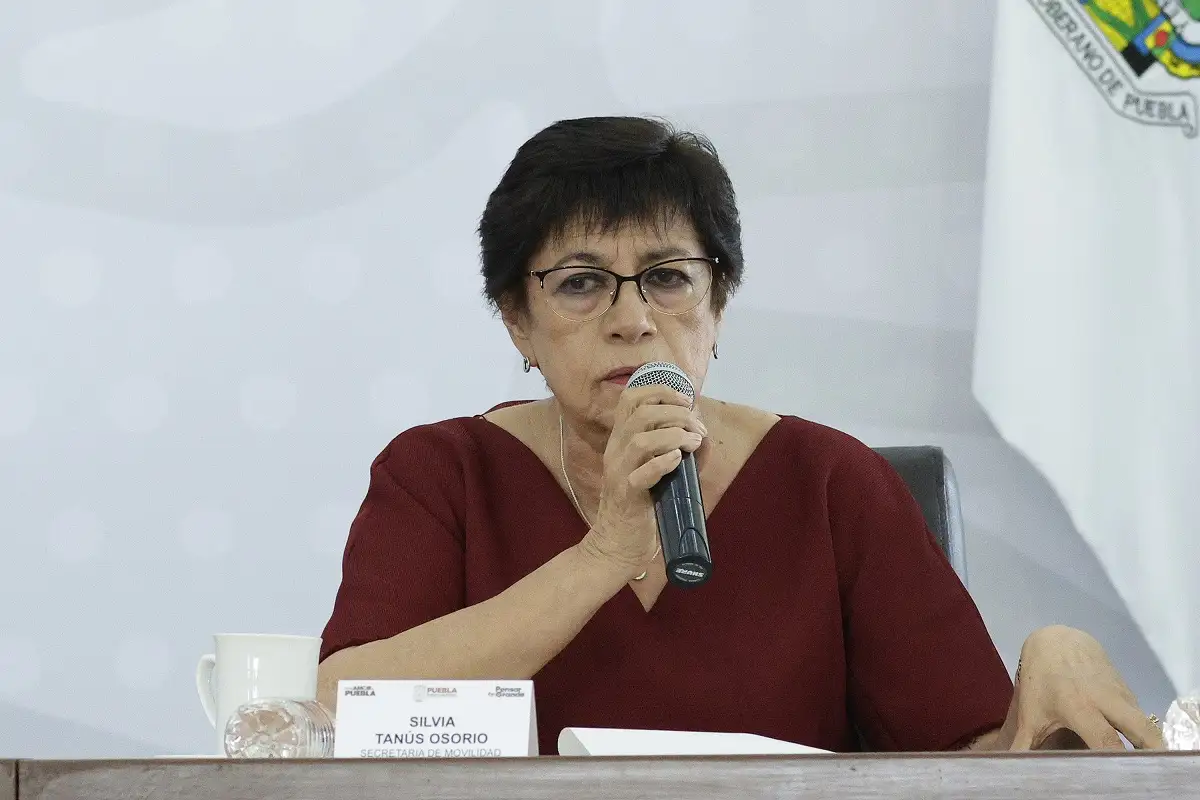 Estudio de movilidad en Puebla para determinar en donde hace faltas rutas Movilidad