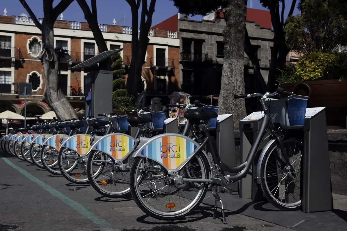 Paneles solares, café: estas son las marcas del gobierno de Puebla para impulsar la economía 2 Paneles solares, café estas son las marcas del gobierno de Puebla para impulsar la economía