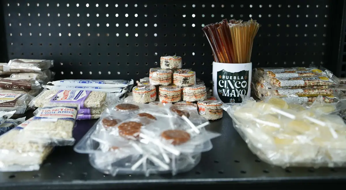 Qué son los CESAT Puebla y cuál es su función