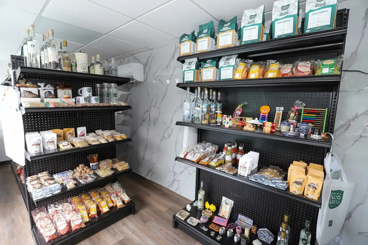 Qué son los CESAT Puebla y cuál es su función