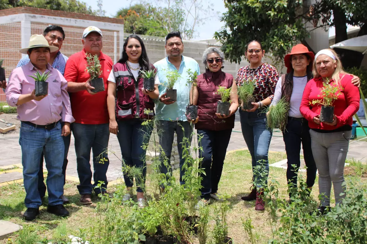 Reafirma Gobierno de Tonantzin Fernandez su compromiso con la imagen urbana del municipio 3