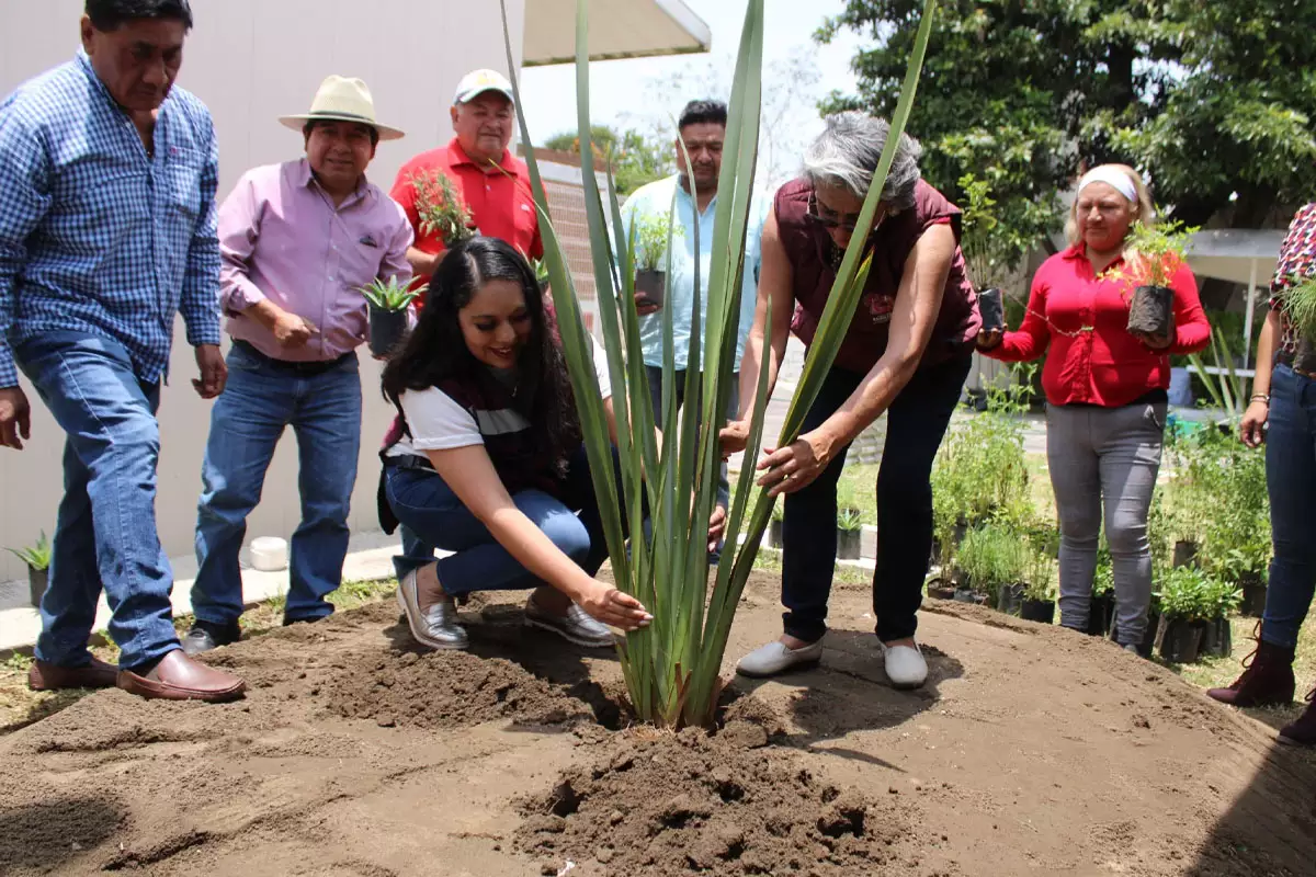 Reafirma Gobierno de Tonantzin Fernandez su compromiso con la imagen urbana del municipio 4