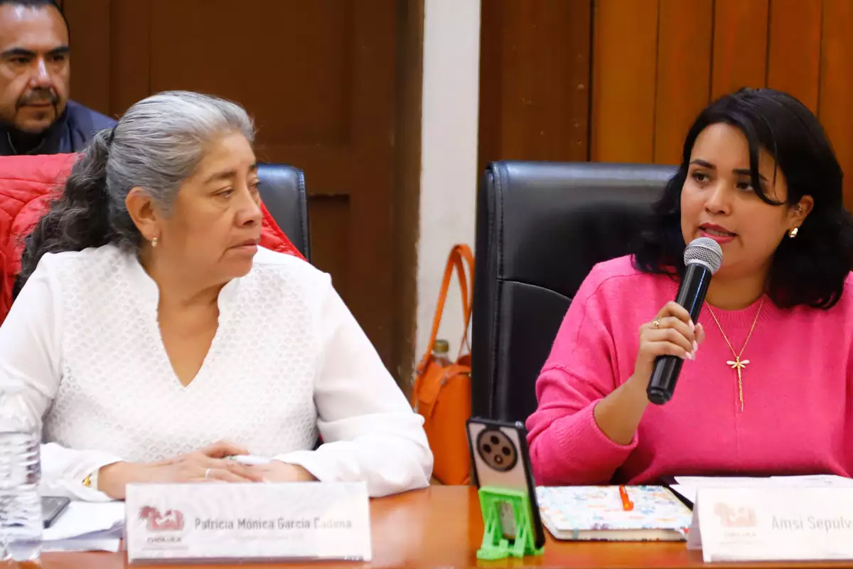 Tonantzin Fernández impulsa programa “Mujeres Heroínas” para fortalecer la economía de las jefas de familia 9 Tonantzin Fernandez impulsa programa Mujeres Heroinas para fortalecer la economia de las jefas de familia 2