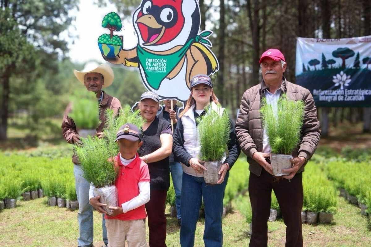 Zacatlán es ejemplo de reforestación a nivel estatal y nacional1