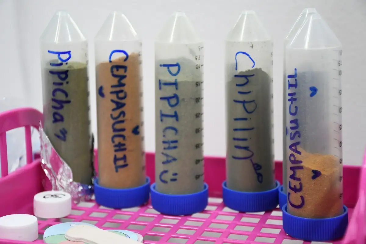 cinetificos de la buap colorantes 2