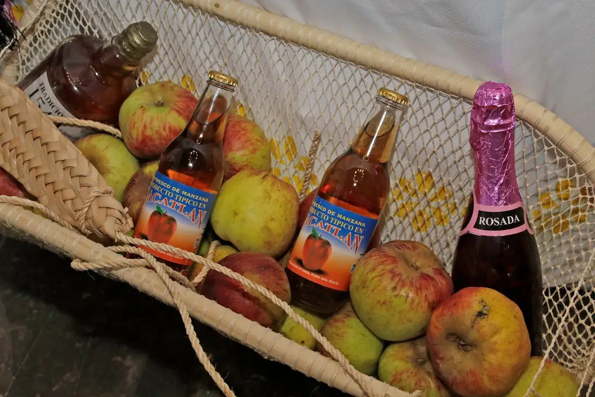 Feria de la Manzana Zacatlán 2025