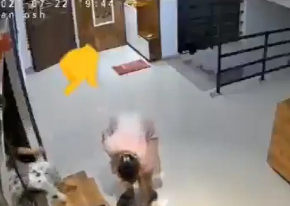 Menor cae desde el piso 12 de un edificio en India