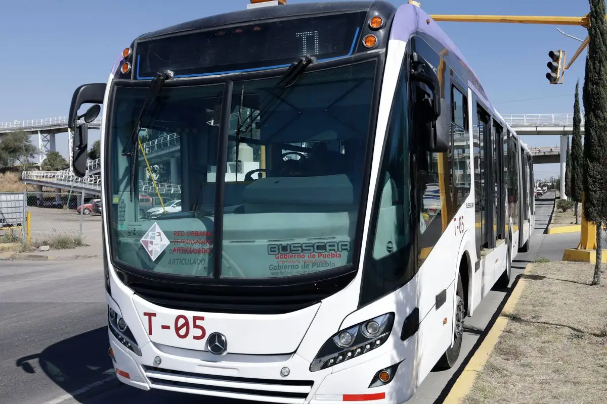 Sancionarán por mensaje misógino en unidad de RUTA