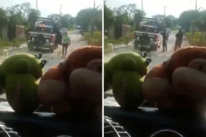 Policías de Miahuatlán vuelven a atropellar a perro