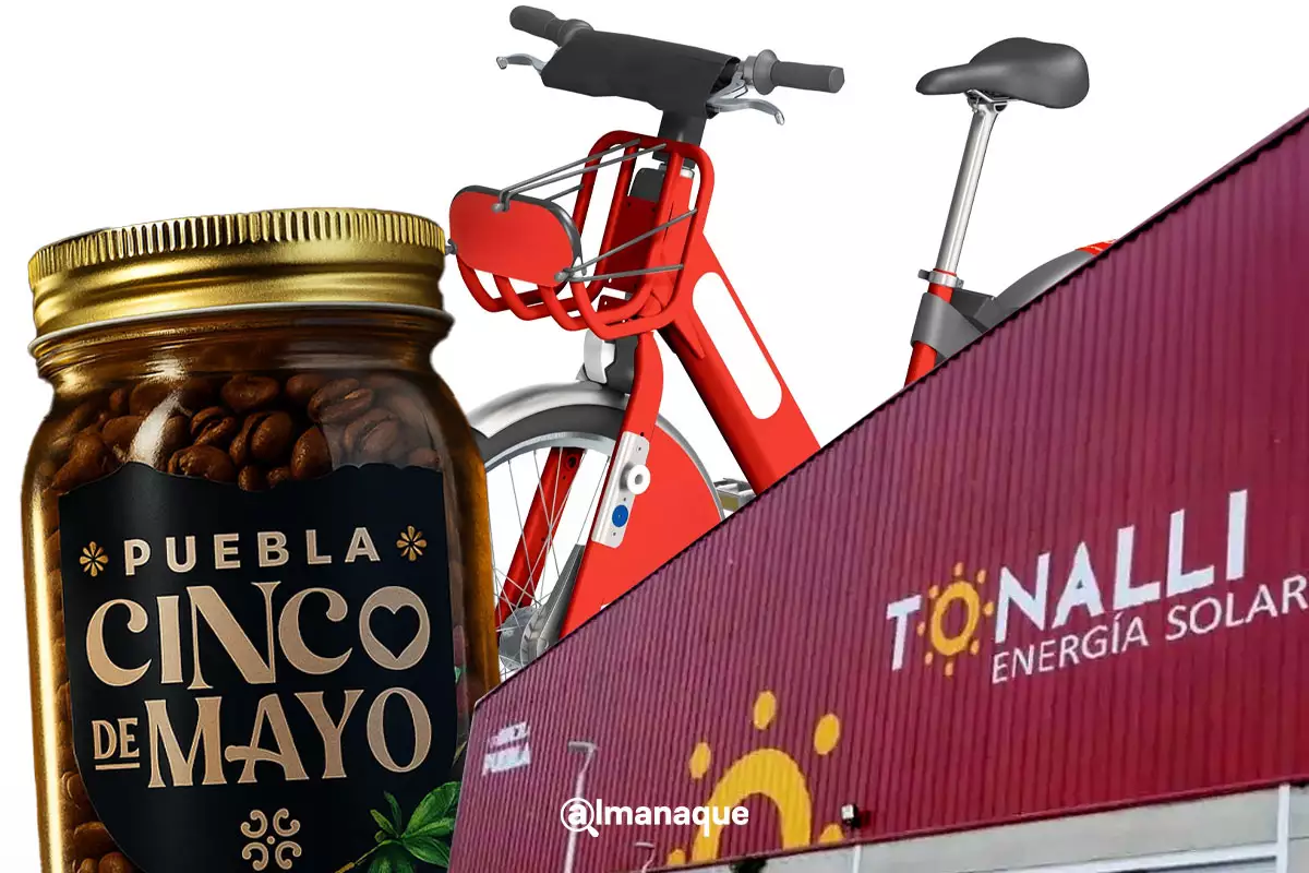 Paneles solares, café: estas son las marcas del gobierno de Puebla para impulsar la economía 1 Paneles solares, café: estas son las marcas del gobierno de Puebla para impulsar la economía