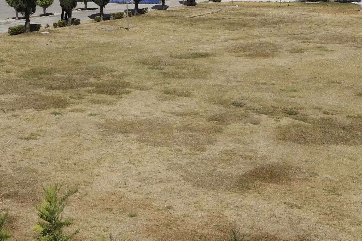 Avalan donación de predios para la Casa del Abue en Puebla