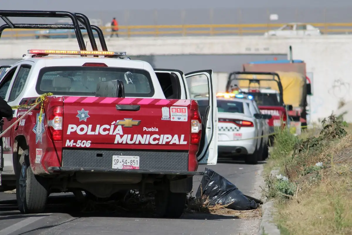 Localizan restos embolsados en carretera Azumbilla-El Seco 1 restos embolsados en Azumbilla
