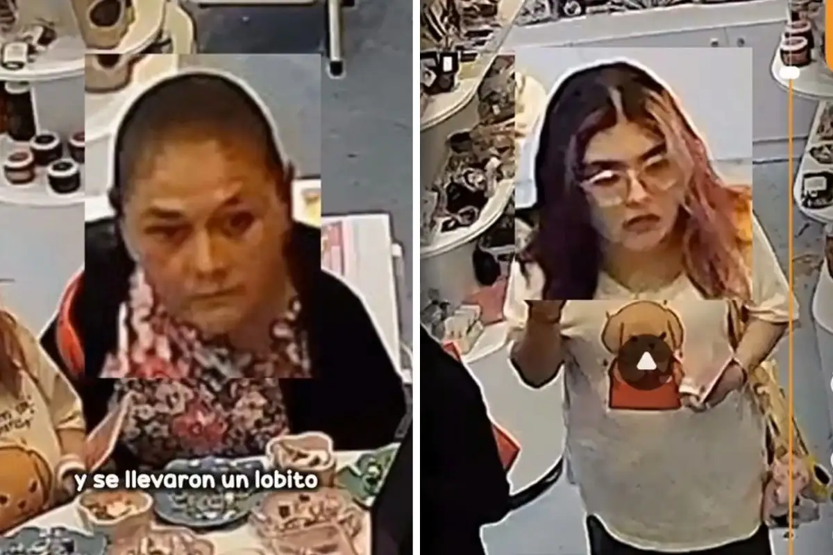 Mujeres roban ternurines en tienda y son captada por cámaras