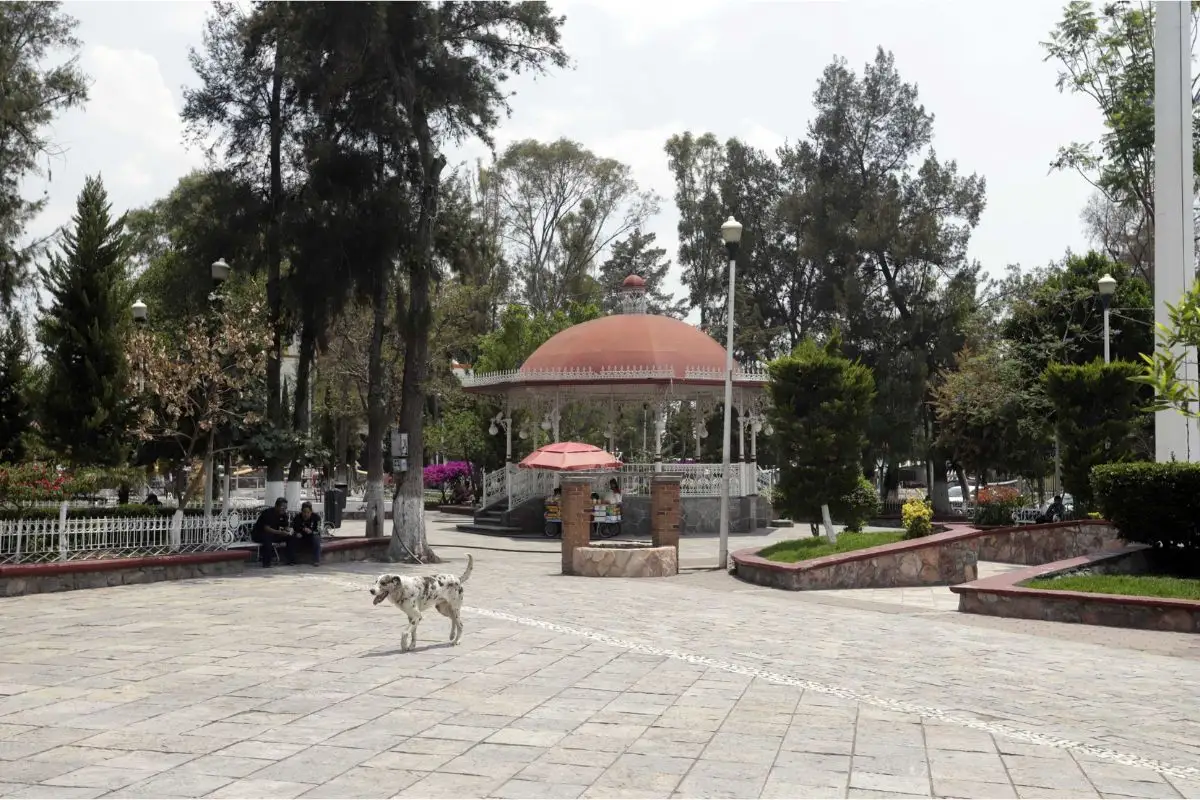 san francisco totimehuacan municipio 218 en puebla 1