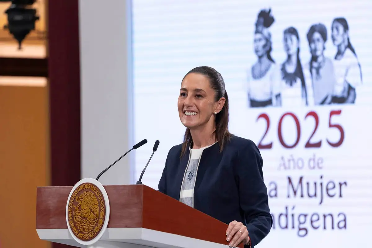 Sheinbaum demandará al abogado de Ovidio Guzmán por difamarla