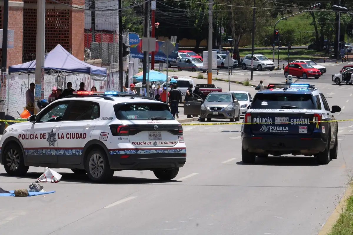 Buscan pruebas para salvar al chofer de la ruta 44A que mató a una mujer en La Margarita