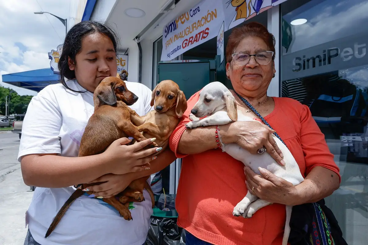 Con consultas gratuitas, inauguran la primera clínica Simi Pet Care Puebla