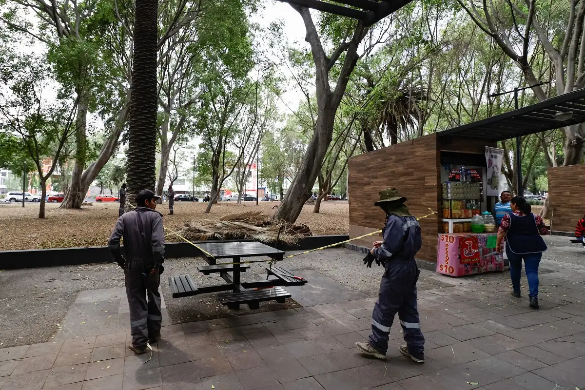 Entrega del Paseo Bravo al Gobierno de Puebla será por donación, confirma Biestro 1 Entrega del Paseo Bravo al Gobierno de Puebla será por donación, confirma Biestro