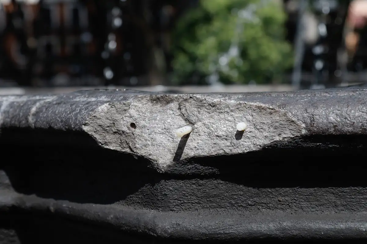 Fuente de San Miguel será restaurada tras manifestación por desaparecidos en Puebla