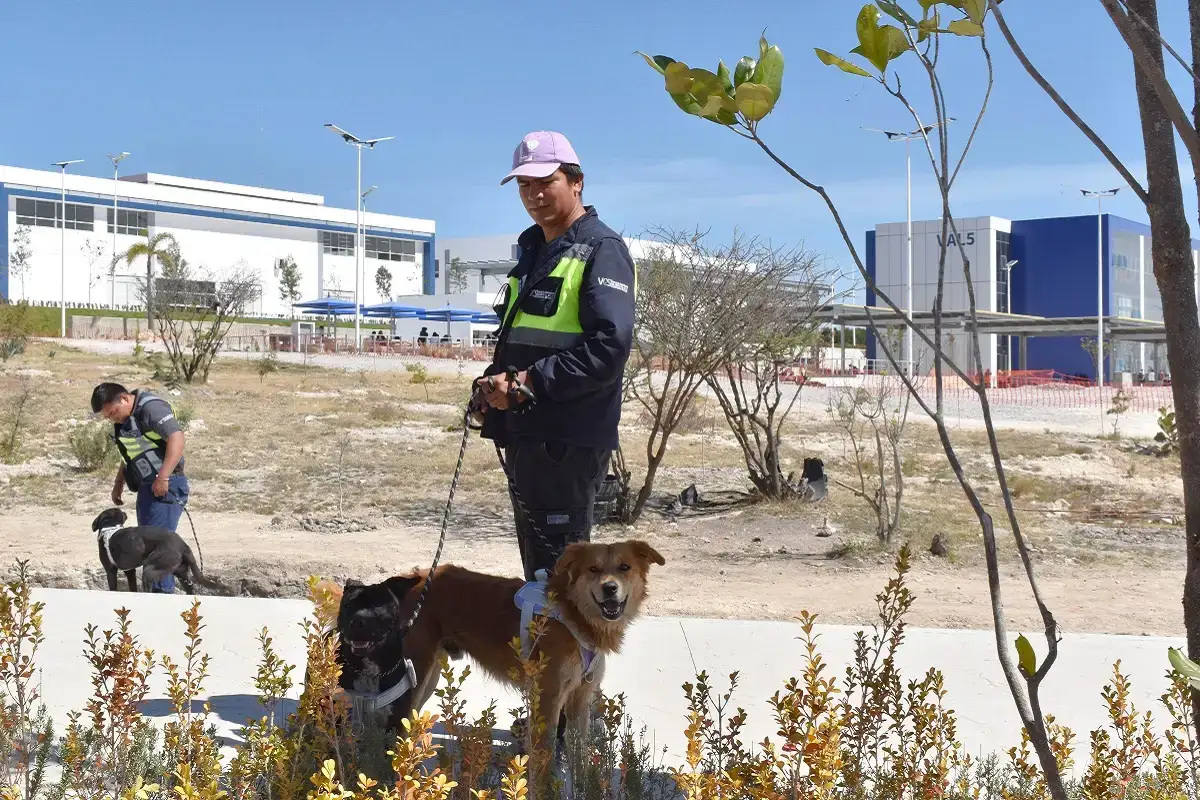 Imparte Herpetario de la FCB capacitación para manejo de organismos vivos en CU2 1 Imparte Herpetario de la FCB capacitación para manejo de organismos vivos en CU2