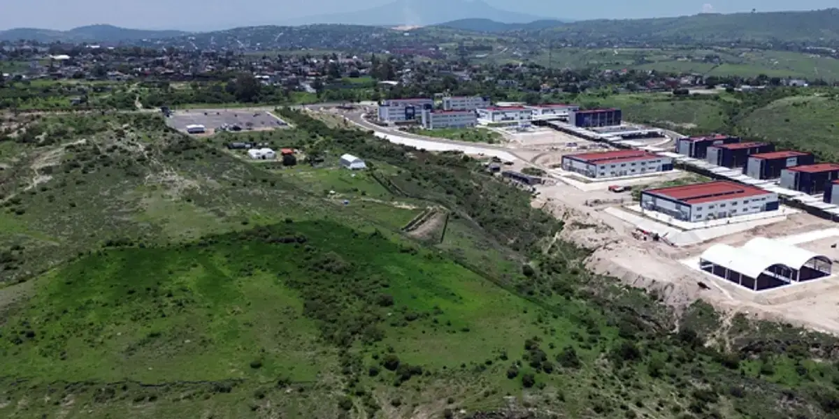 Imparte Herpetario de la FCB capacitación para manejo de organismos vivos en CU2 2 Imparte Herpetario de la FCB capacitación para manejo de organismos vivos en CU2
