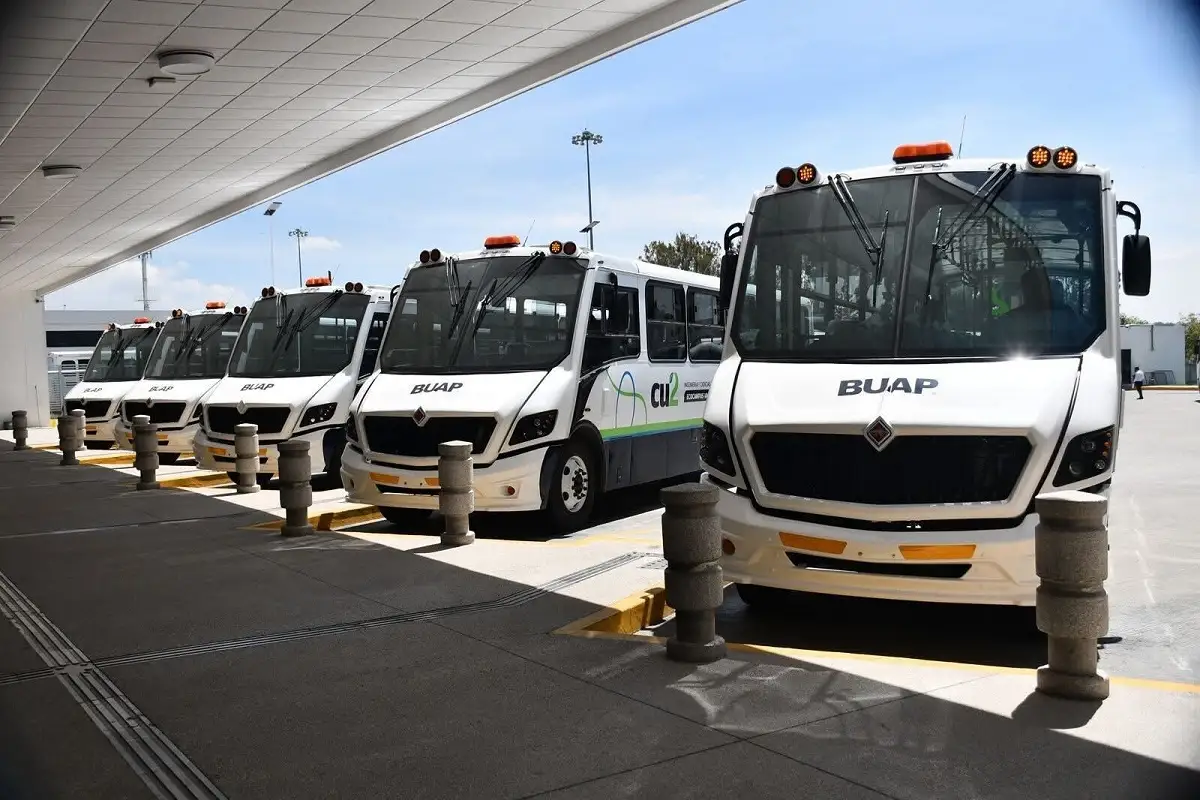 Invierte BUAP 58 mdp en 20 autobuses para CU2