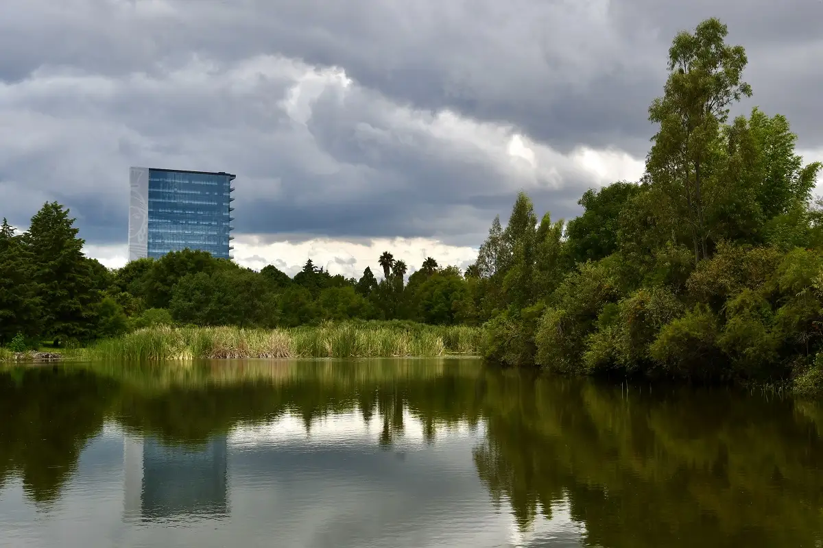 Jardín Botánico de la BUAP, 38 años de echar raíces y florecer