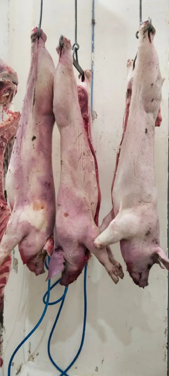 Rastro municipal en alerta sanitaria en Texmelucan