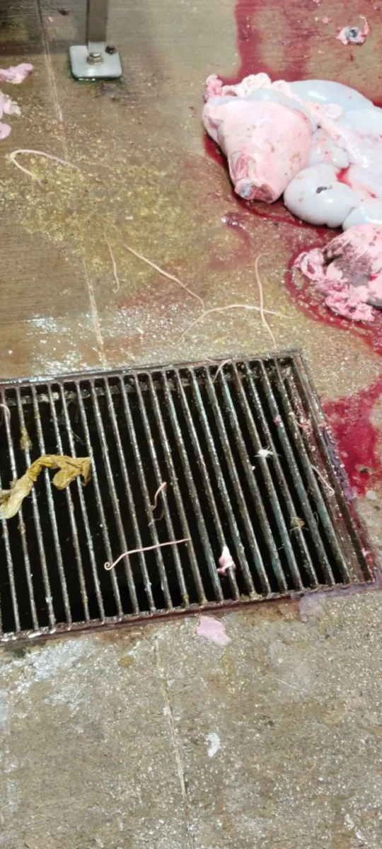 Rastro municipal en alerta sanitaria en Texmelucan