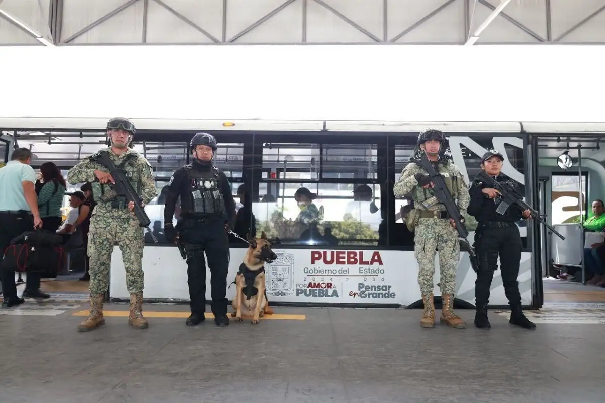 Reporta SSP la detención de 109 personas en la última semana 1 Reporta SSP la detención de 109 personas en la última semana