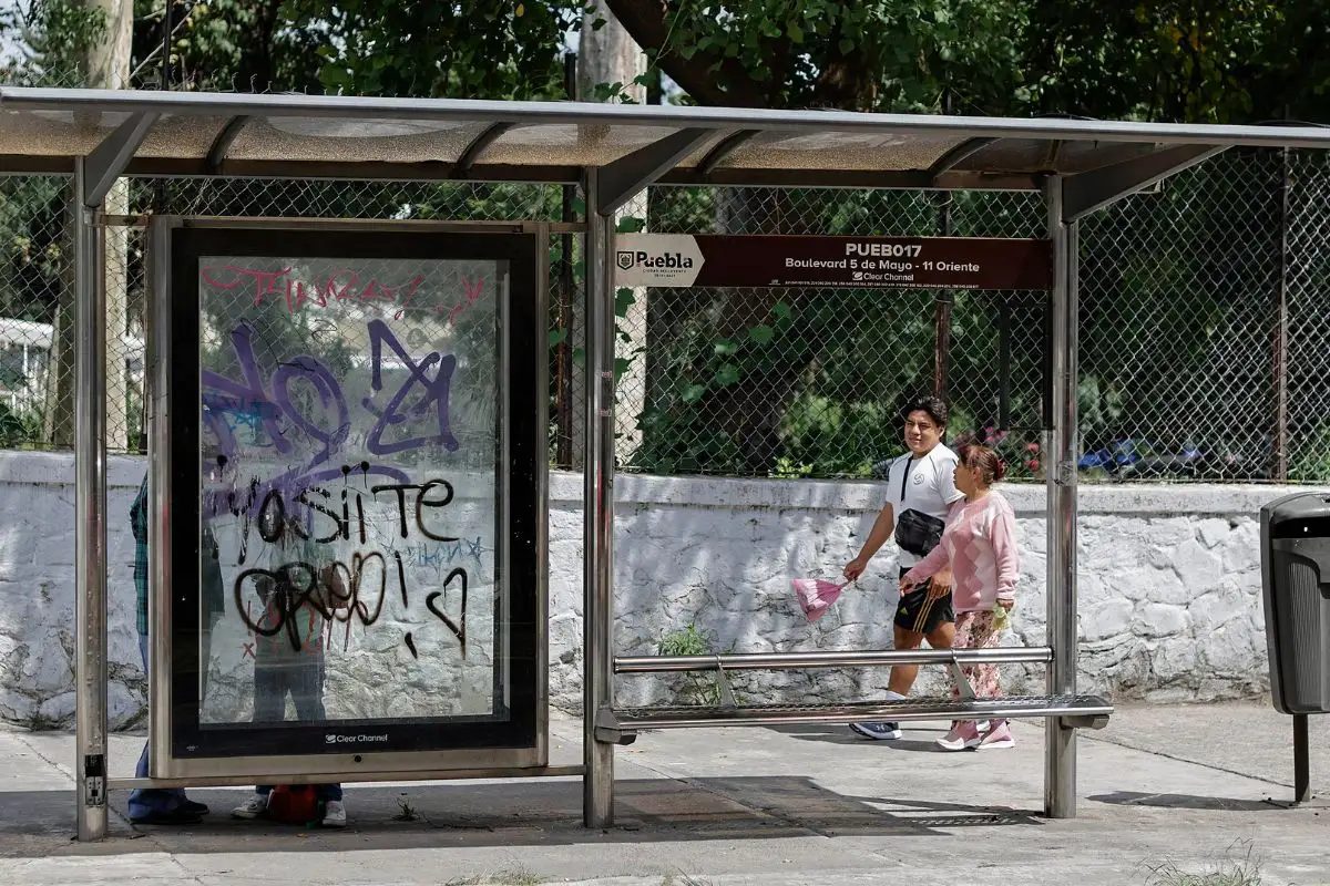 Empresa que quiera concesión de paraderos del transporte debe dar 15 mdp a Ayuntamiento: Pepe Chedraui 2 concesión de paraderos del transporte debe dar 15 mdp a Ayuntamiento