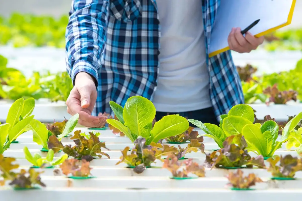 Expo Hortícola BUAP 2025