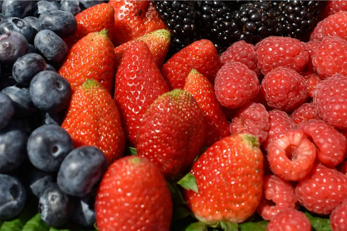 Feria de las Berries de Huejotzingo 2025