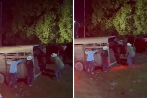 hombre golpea a un caballo en Bacalar