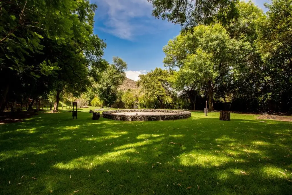 Ya hay hospedaje Dog Friendly en centro vacacional en IMSS-Metepec