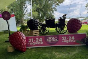 lo que encontrarás en Feria de las Berries 2025 de Huejotzingo