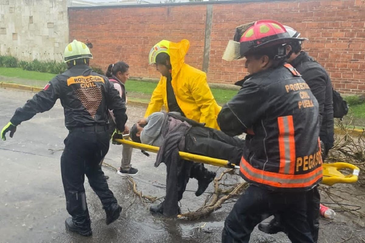 Atiende Protección Civil Municipal a mujer lesionada por caída de árbol 1 mujer lesionada por caída de árbol en la colonia La Paz