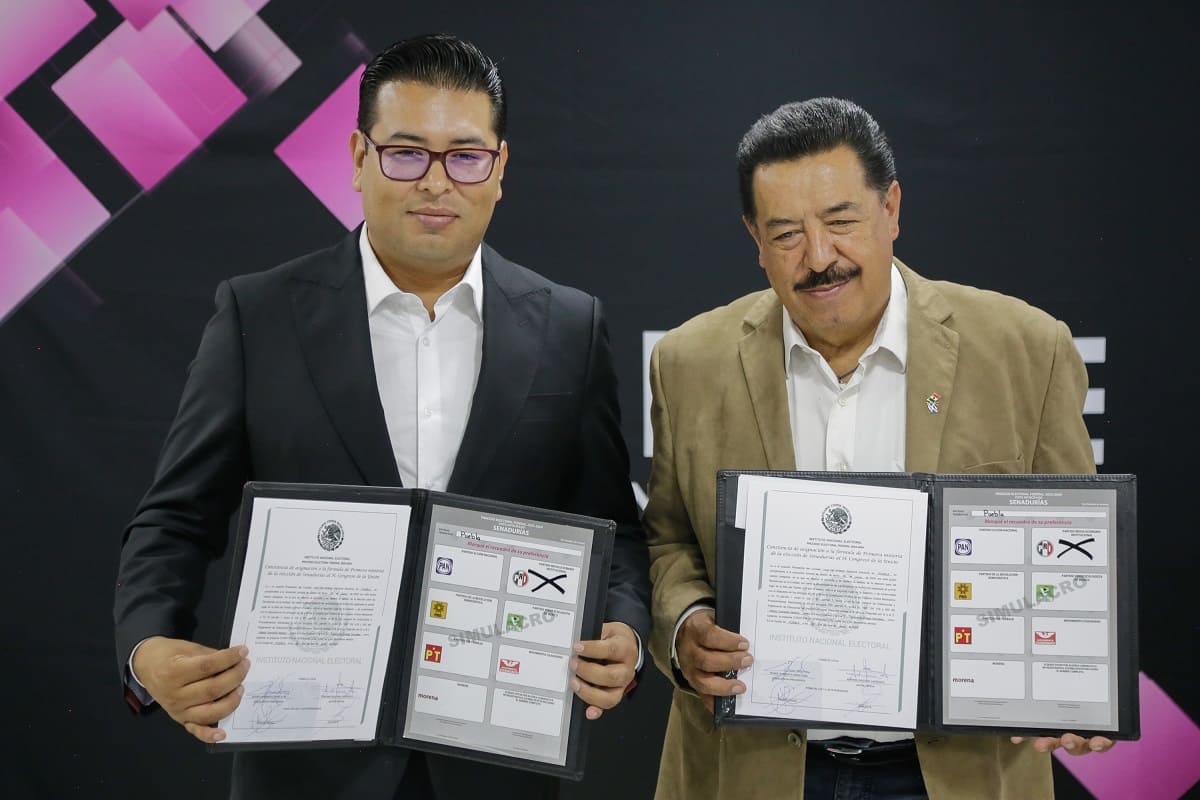 el oscuro paso de Néstor Camarillo por el PRI