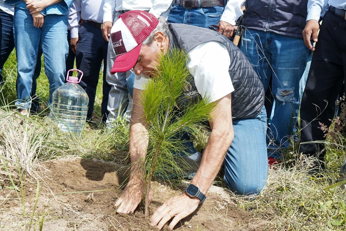 Se suma La Resurrección al programa “Raíces del Futuro” del Gobierno de la Ciudad 1 Pepe Chedraui raíces del futuro